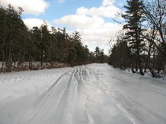 Hanson Pines Park; Rochester NH
